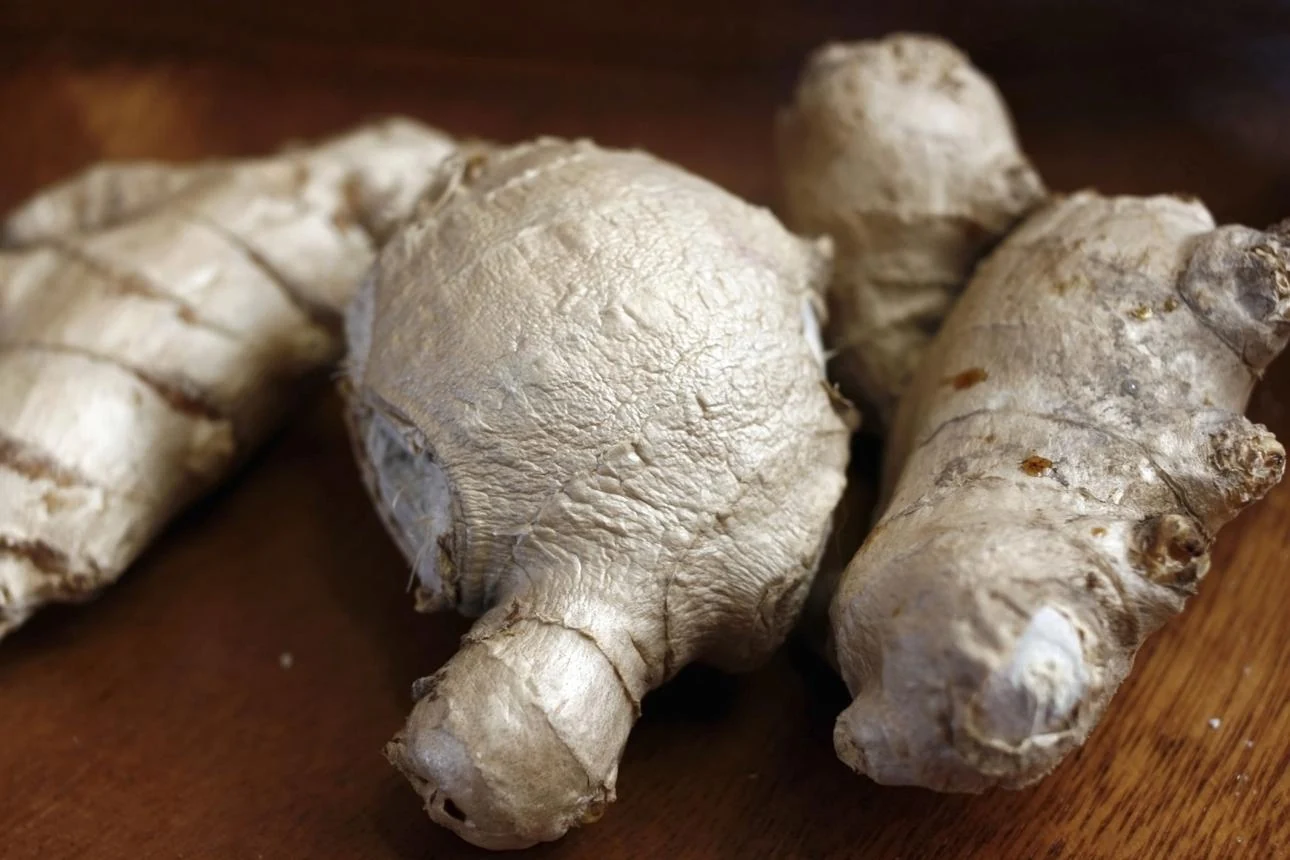 Sonth Rhizome (Zingiber officinale) used in Femina
